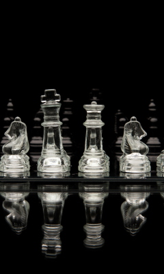 Screenshot №1 pro téma Chess 240x400