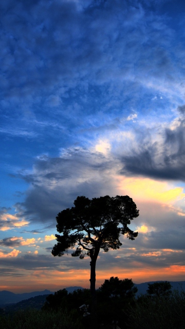 Dramatic Sky wallpaper 360x640