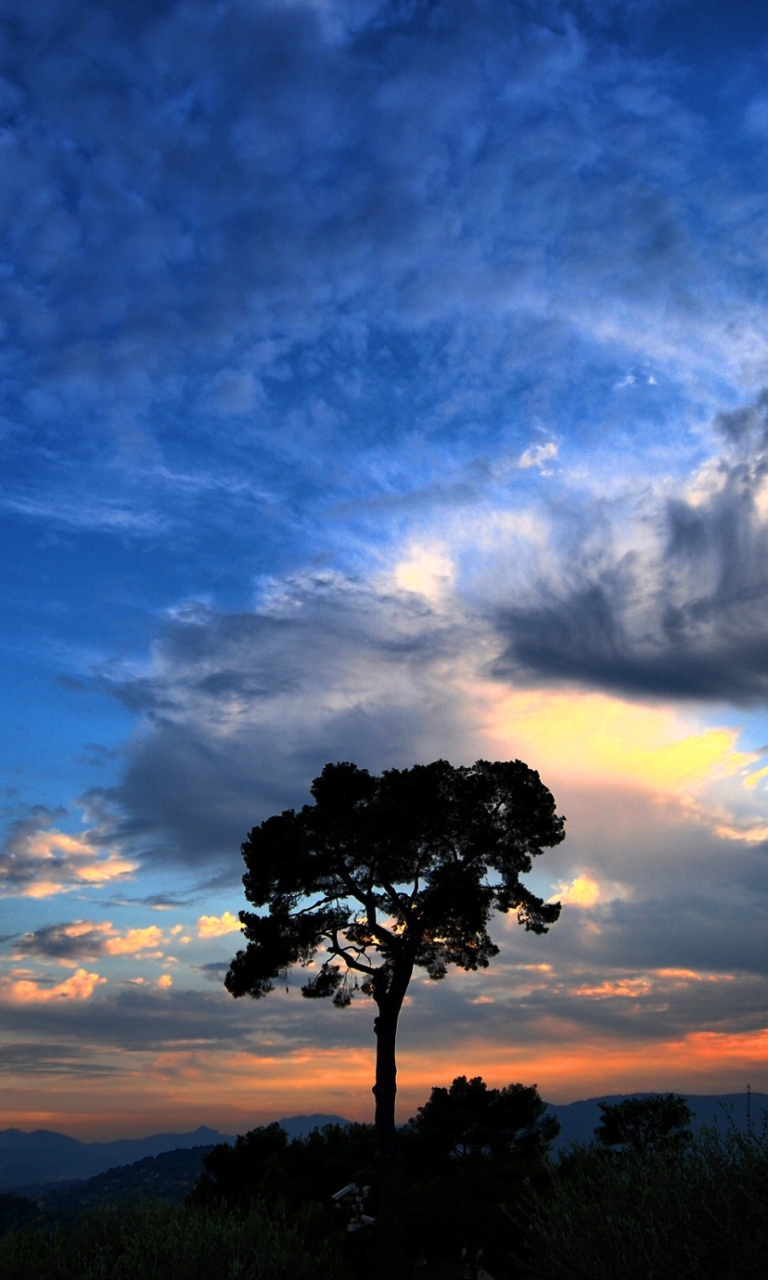 Dramatic Sky wallpaper 768x1280