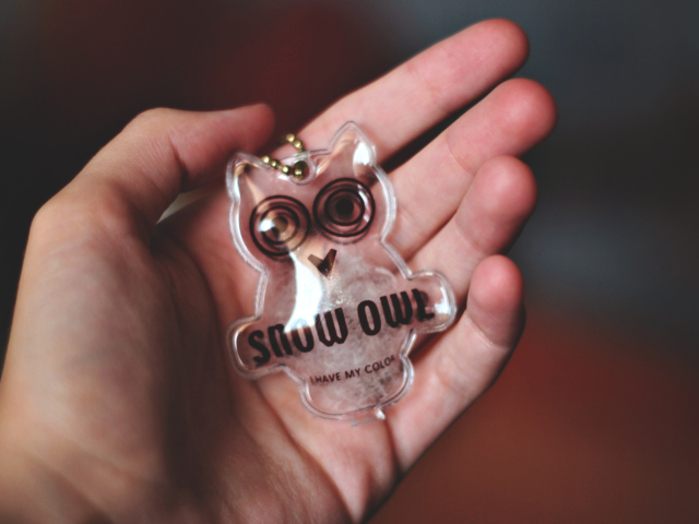 Обои Owl Key Chain 640x480