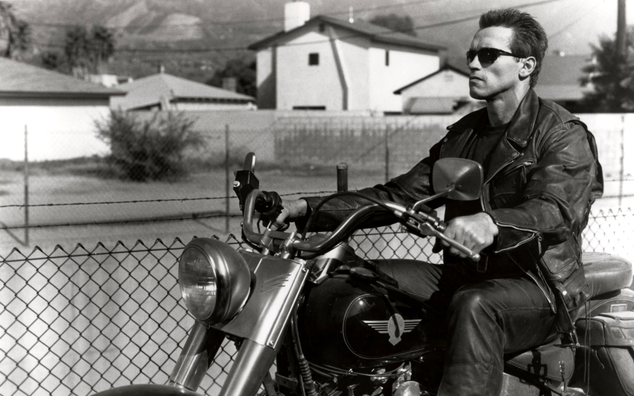Das Terminator 2 Arnold Schwarzenegger Wallpaper 1280x800