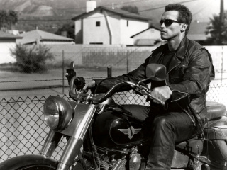 Terminator 2 Arnold Schwarzenegger wallpaper 320x240