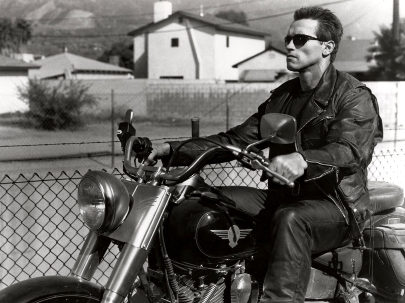 Screenshot №1 pro téma Terminator 2 Arnold Schwarzenegger 800x600