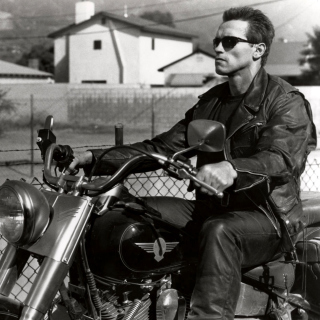 Terminator 2 Arnold Schwarzenegger sfondi gratuiti per 208x208