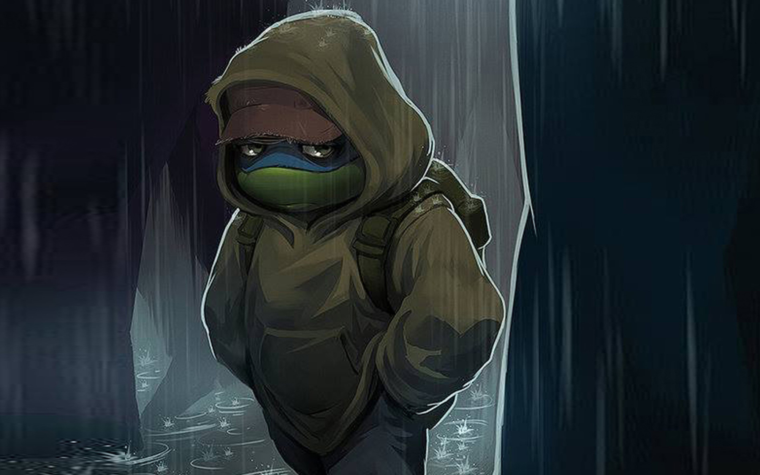 Fondo de pantalla Sad Turtle 2560x1600