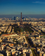 Fondo de pantalla Paris Panoramic 176x220