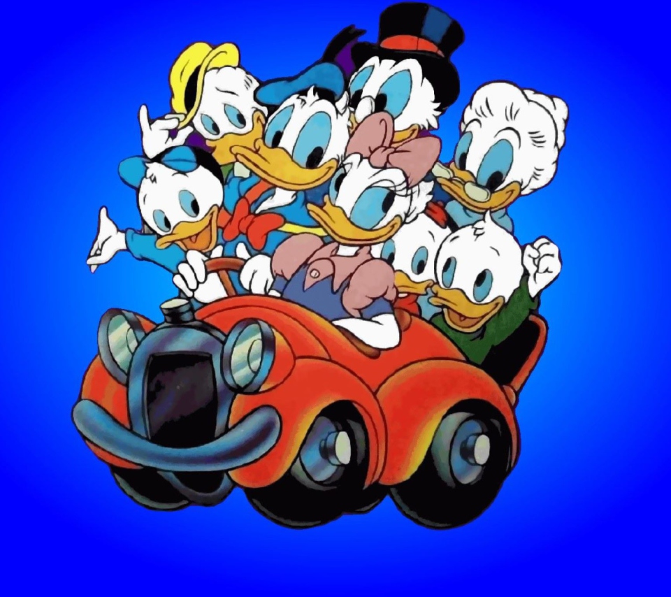 Обои Donald And Daffy Duck 960x854