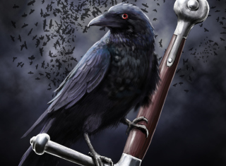 Black Crow - Obrázkek zdarma pro Sony Xperia Z