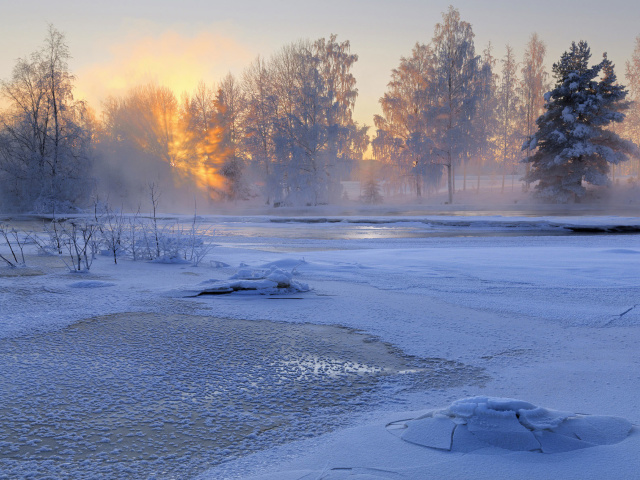 Frosty February wallpaper 640x480