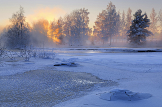 Frosty February Background for Android, iPhone and iPad