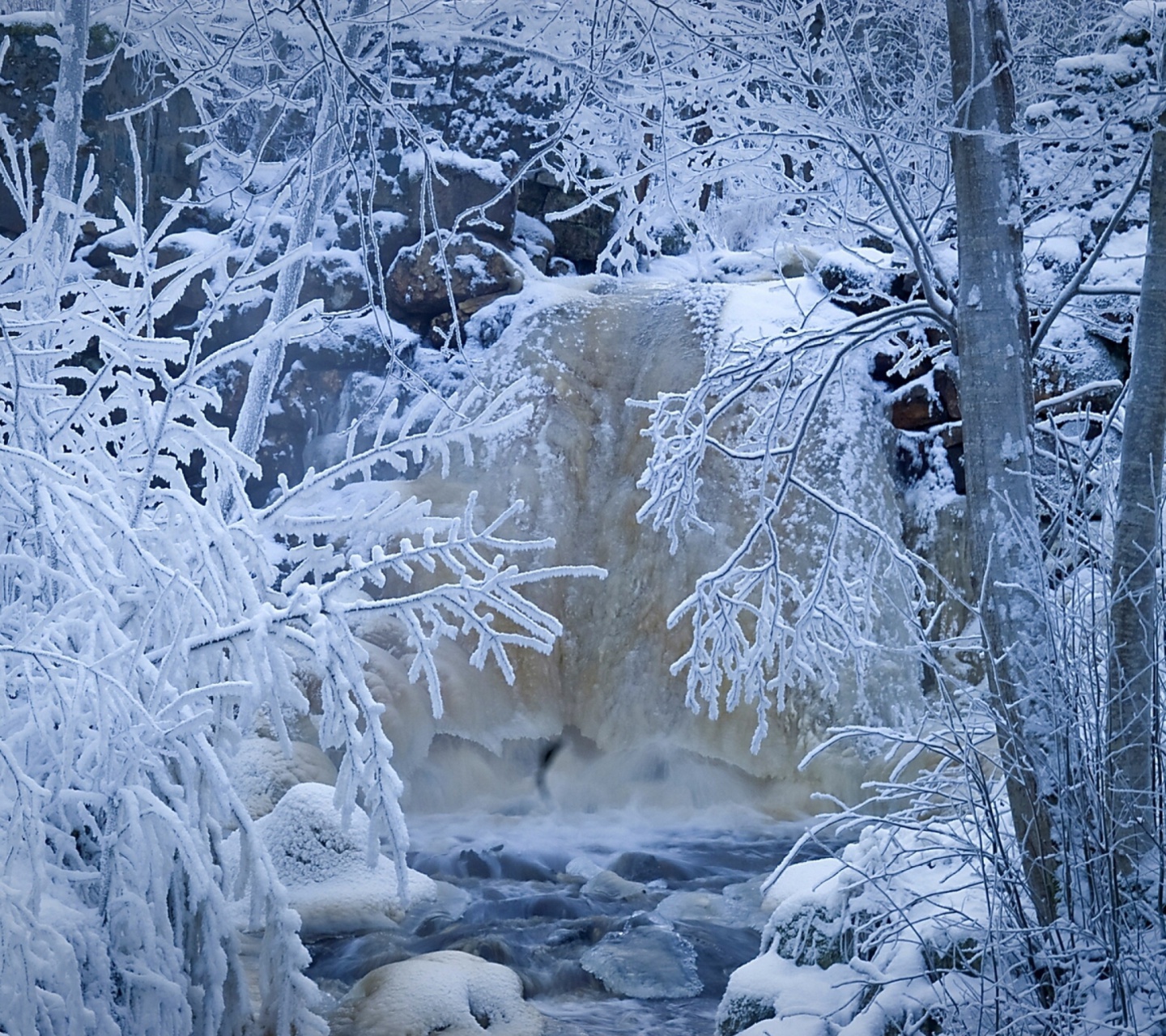 Sfondi Winter in Norway 1440x1280