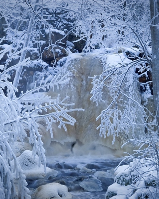 Winter in Norway sfondi gratuiti per Nokia Lumia 800