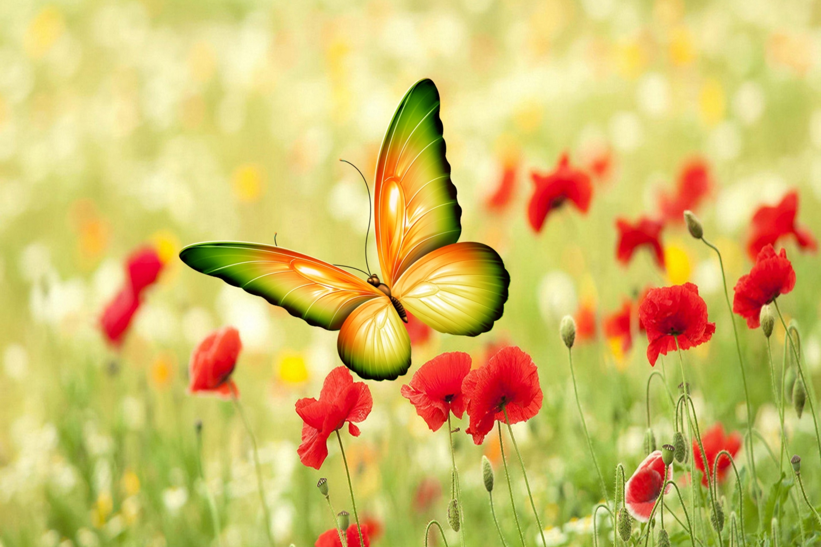 Обои Butterfly 2880x1920