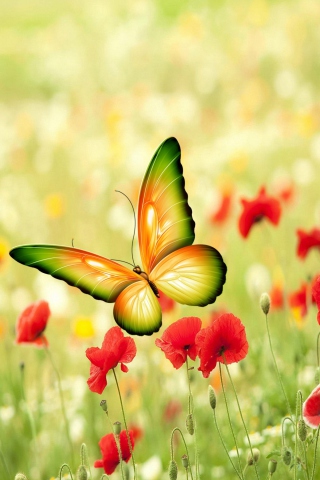 Fondo de pantalla Butterfly 320x480