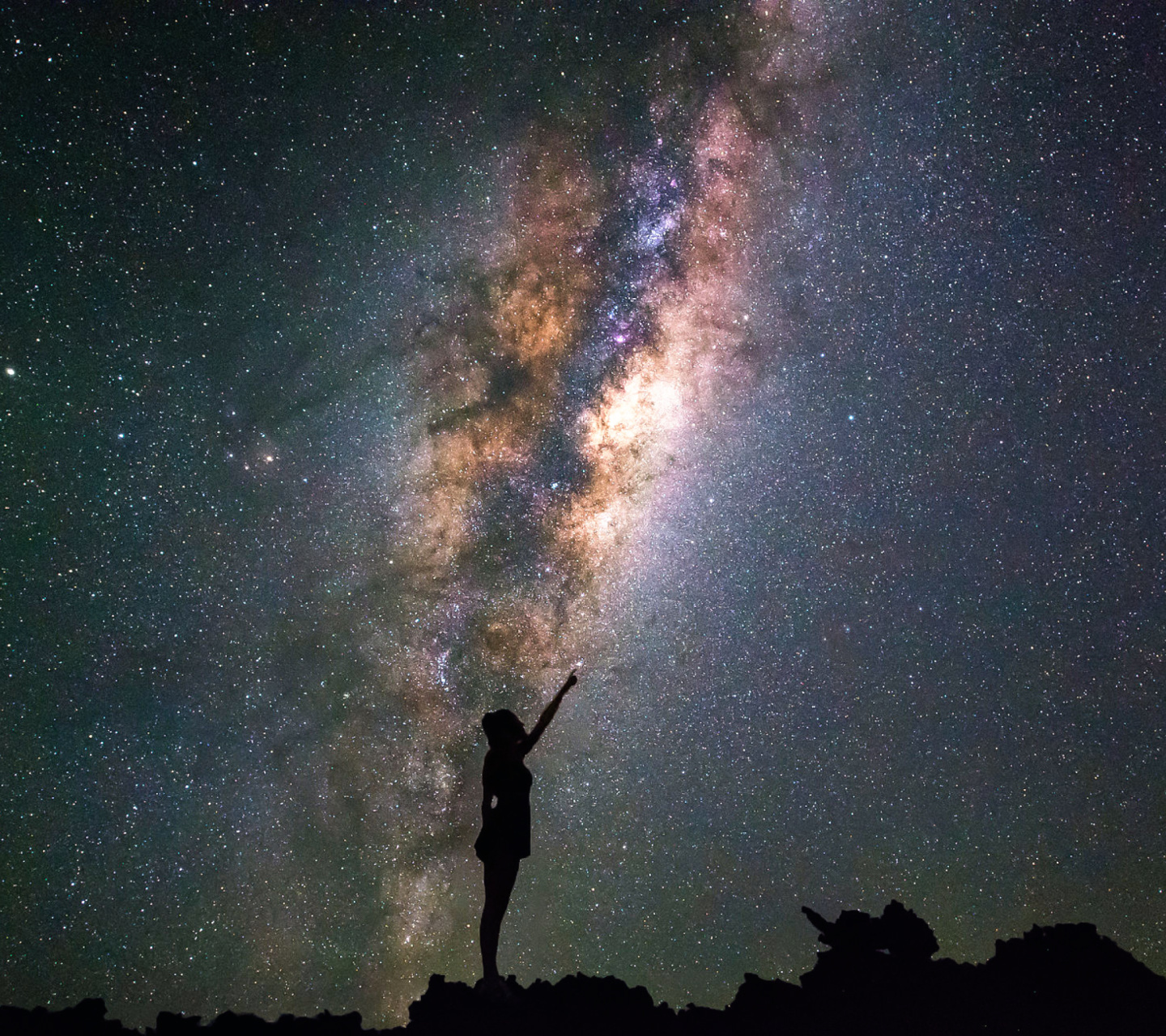 Sfondi Girl silhouette on night sky background 1440x1280