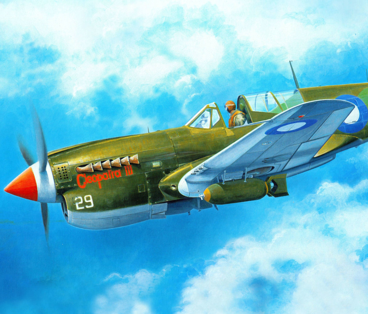 Обои Curtiss P 40 Warhawk 1200x1024