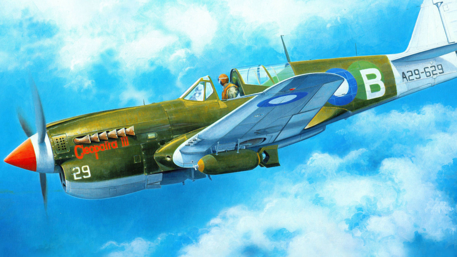Screenshot №1 pro téma Curtiss P 40 Warhawk 1600x900