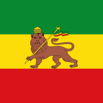 Flag of Ethiopia wallpaper 208x208