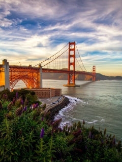 Das Golden Gate Bridge Wallpaper 240x320