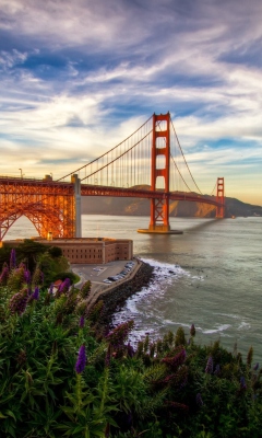 Das Golden Gate Bridge Wallpaper 240x400
