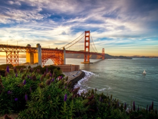 Fondo de pantalla Golden Gate Bridge 320x240