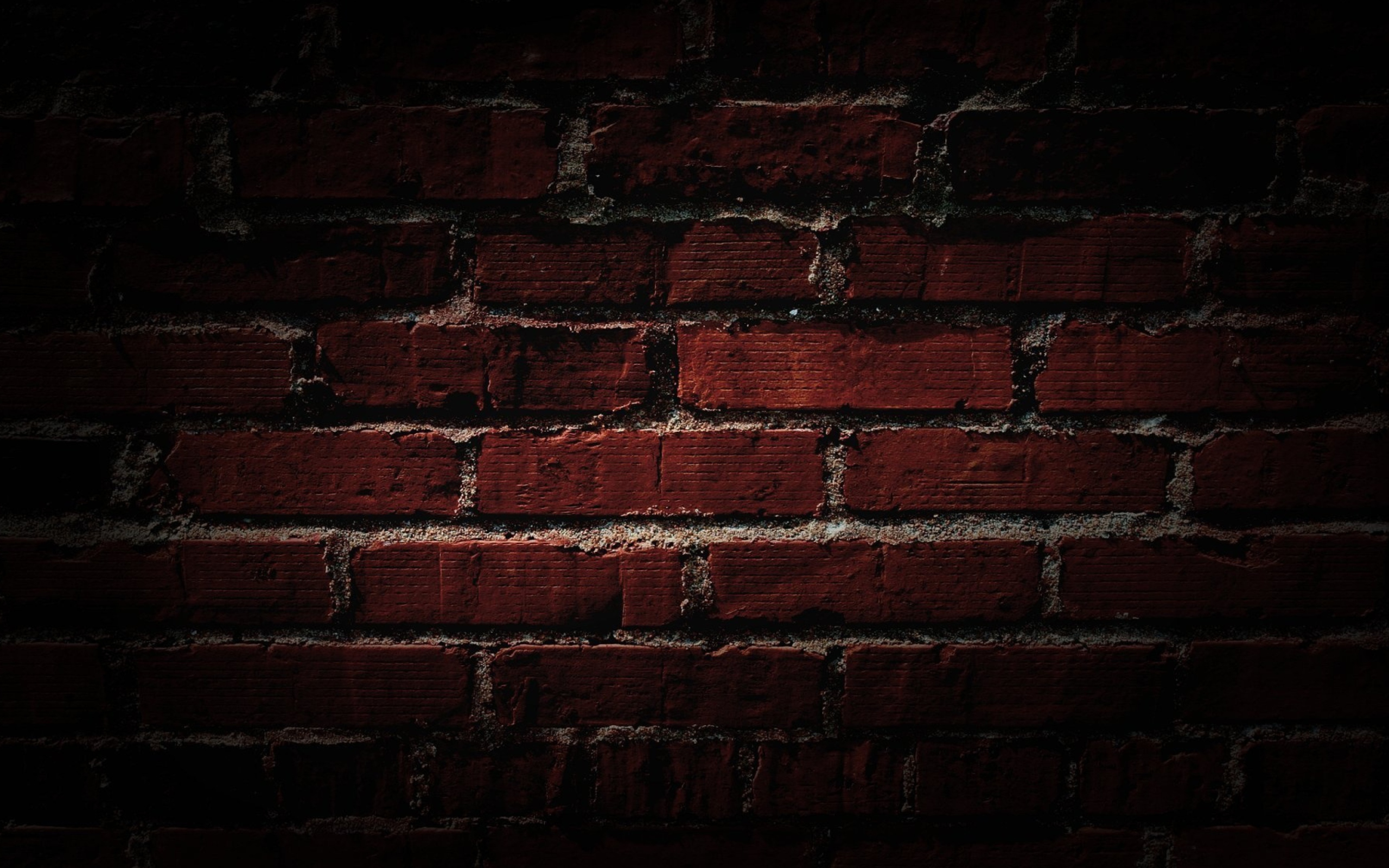 Screenshot №1 pro téma Red Brick Wall 2560x1600