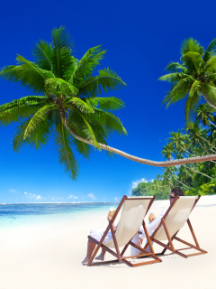 Vacation in Tropical Paradise wallpaper 240x320