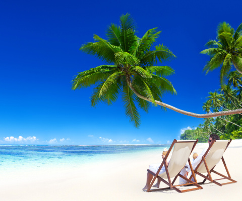 Vacation in Tropical Paradise wallpaper 480x400