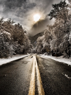 Обои Pale Winter Road 240x320