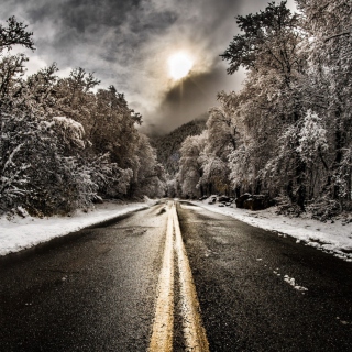 Pale Winter Road - Obrázkek zdarma pro 1024x1024