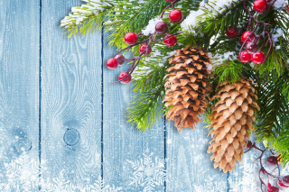 Indoor Christmas Decorations - Fondos de pantalla gratis 