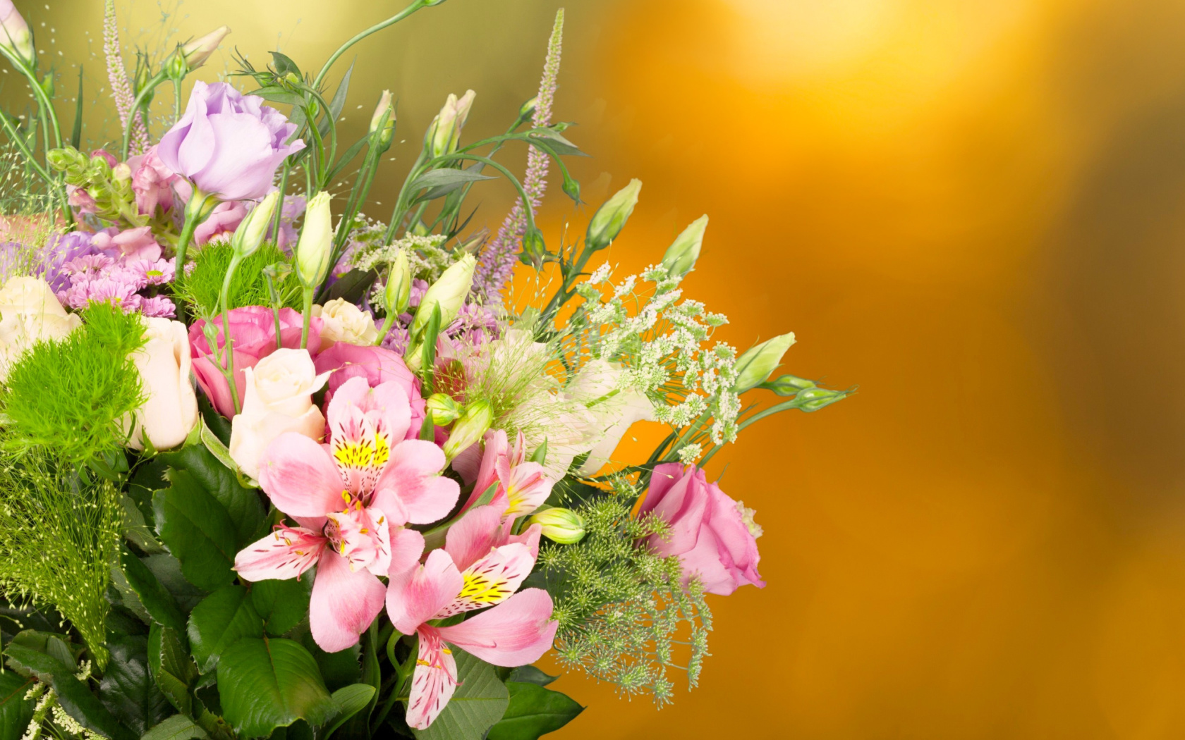 Screenshot №1 pro téma Bouquet of iris flowers 1680x1050