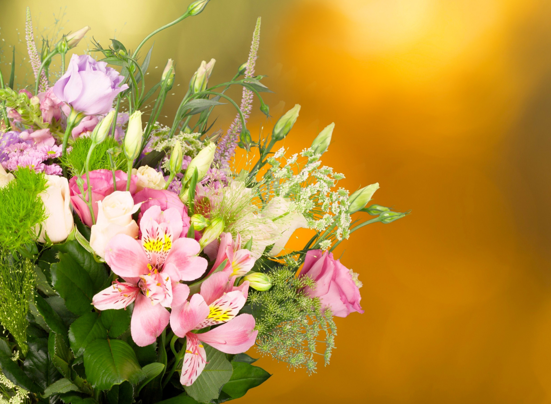 Fondo de pantalla Bouquet of iris flowers 1920x1408