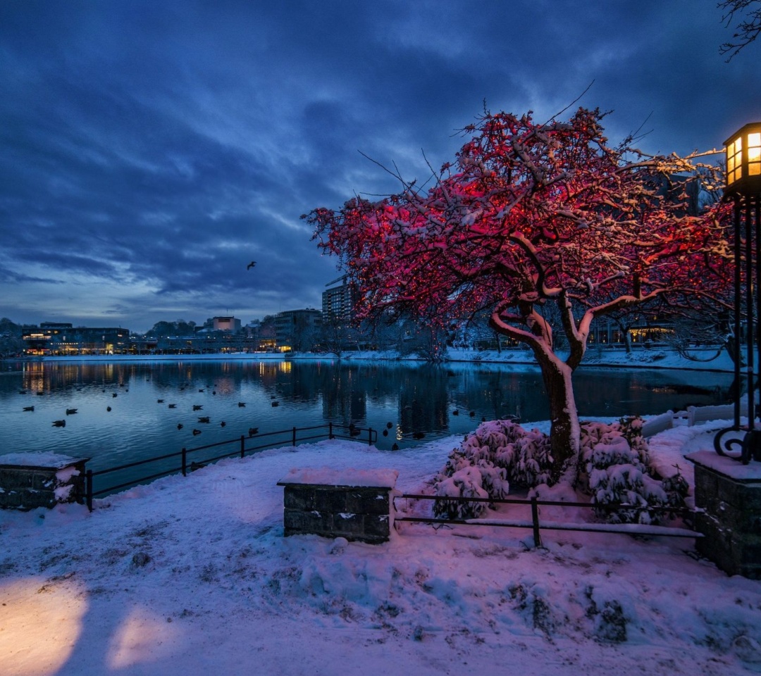 Norwegian city in January wallpaper 1080x960