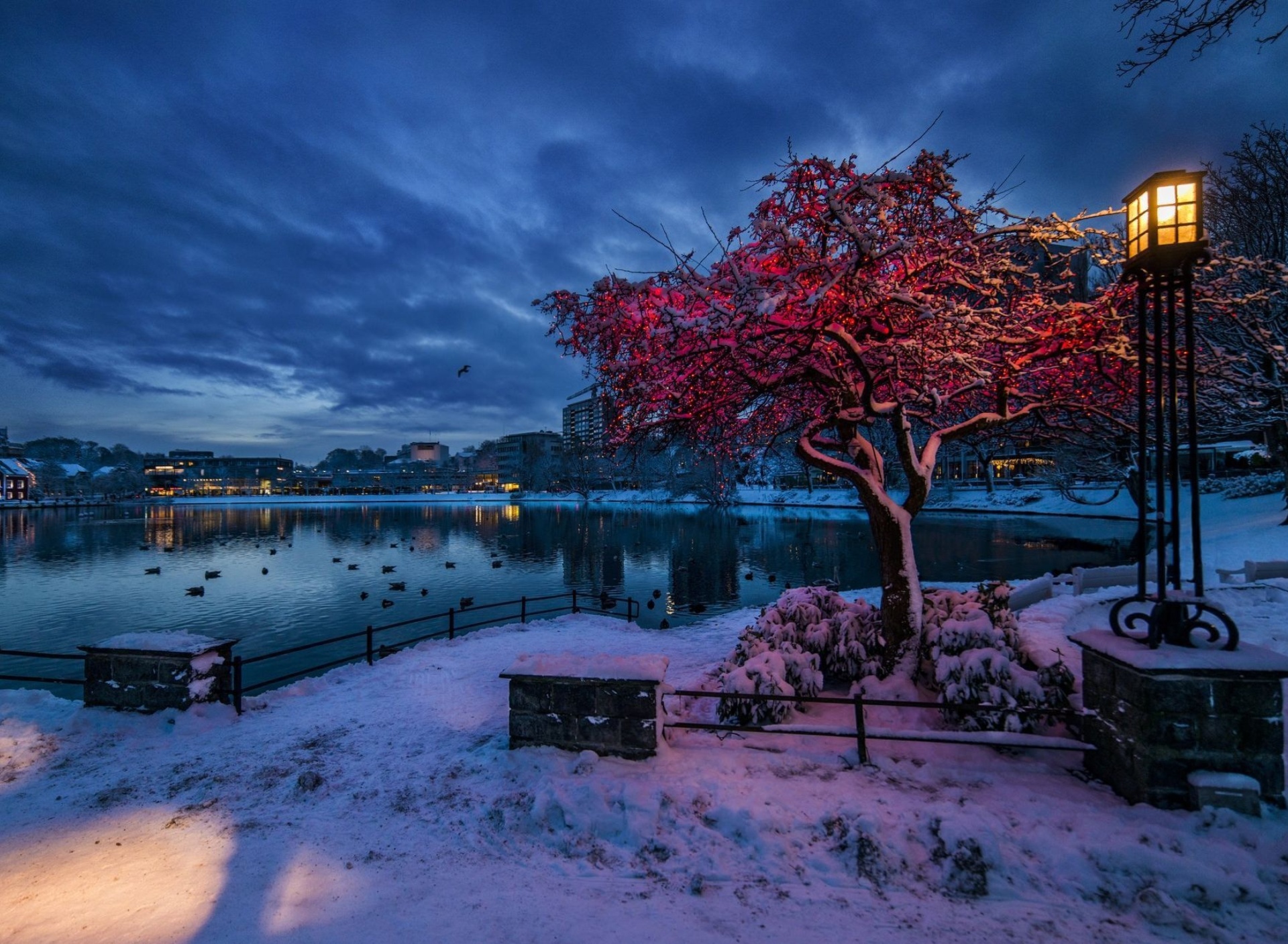 Norwegian city in January wallpaper 1920x1408