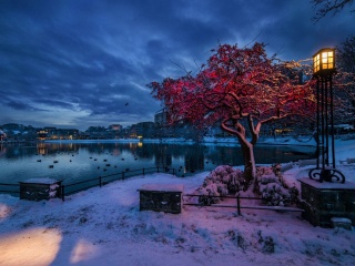 Das Norwegian city in January Wallpaper 320x240