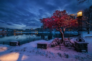 Norwegian city in January Background for Android, iPhone and iPad