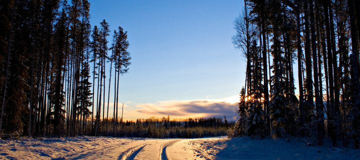 Fondo de pantalla January Forest in Snow 720x320