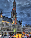 Das Brussels Grote Markt and Town Hall Wallpaper 128x160
