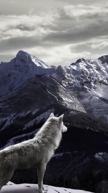 Das White Wolf In Mountains Wallpaper 360x640
