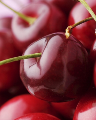 Red Cherries - Obrázkek zdarma pro Nokia Asha 308