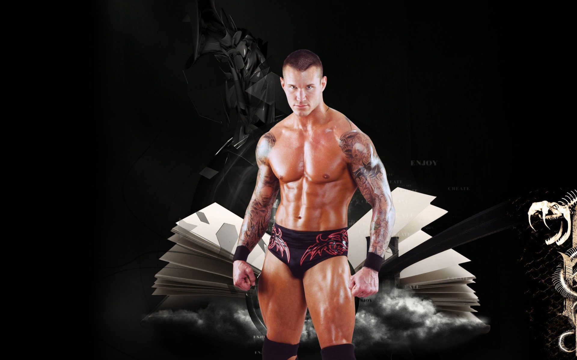 Screenshot №1 pro téma Randy Orton 1920x1200