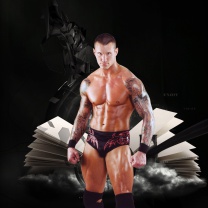 Screenshot №1 pro téma Randy Orton 208x208