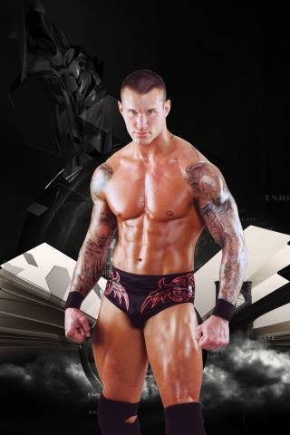 Sfondi Randy Orton 320x480