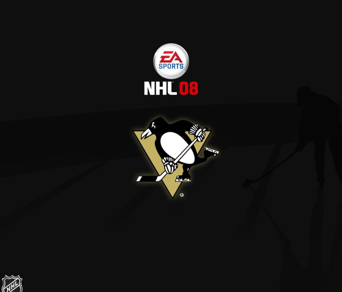 Sfondi Nhl 08 1200x1024