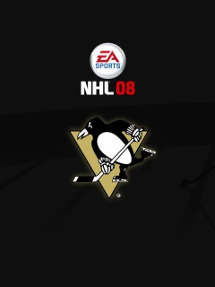 Screenshot №1 pro téma Nhl 08 240x320