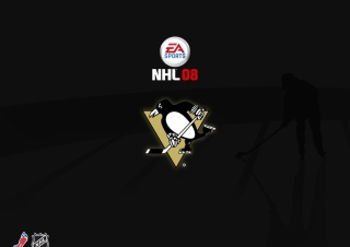 Nhl 08 - Obrázkek zdarma 