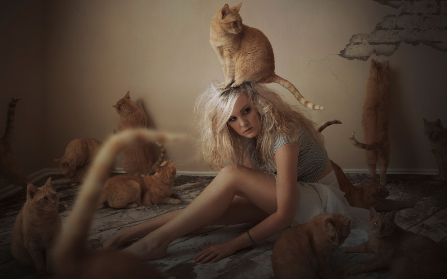 Fondo de pantalla Cat Girl 1440x900