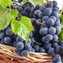 Blue Concord Grape screenshot #1 128x128