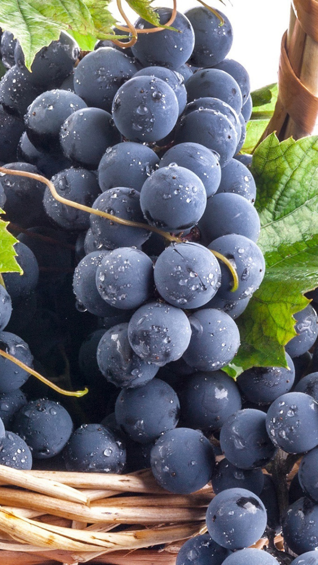 Blue Concord Grape screenshot #1 640x1136
